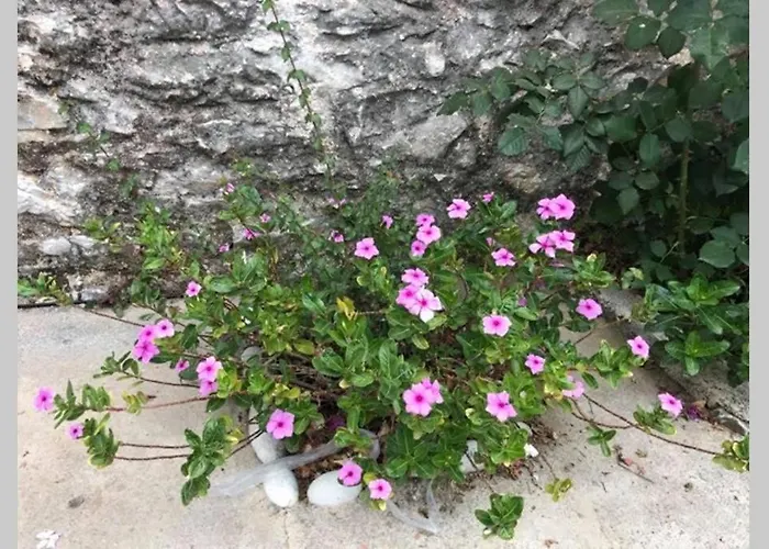 Traditional Stone House In Eastern Mani * Flomochori
