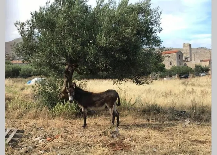 Traditional Stone House In Eastern Mani Дом отдыха