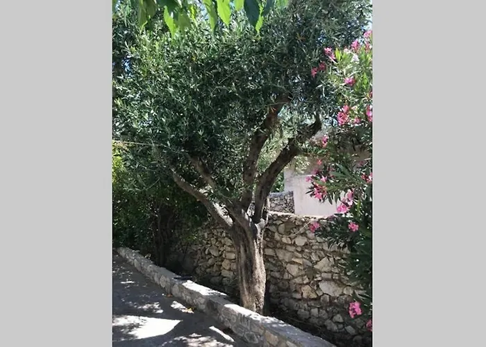 Traditional Stone House In Eastern Mani Hébergement de vacances