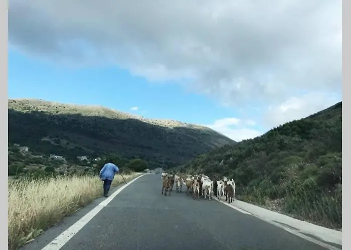Hébergement de vacances Traditional Stone House In Eastern Mani Flomochori